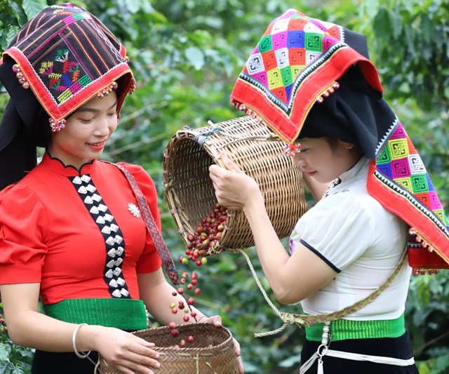 Sơn La đang tích cực chuẩn bị các điều kiện, đón chào du khách đến tham dự Lễ hội cà phê tỉnh Sơn La lần thứ nhất năm 2023.
