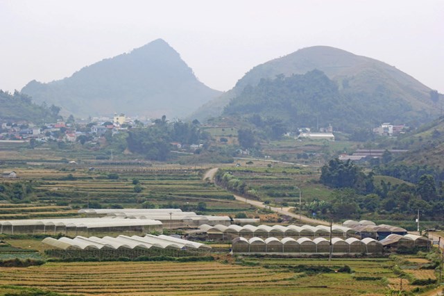 Hệ thống nh&agrave; lưới trồng rau tại bản Suối L&igrave;n, x&atilde; V&acirc;n Hồ huyện V&acirc;n Hồ. (ảnh A Trứ)