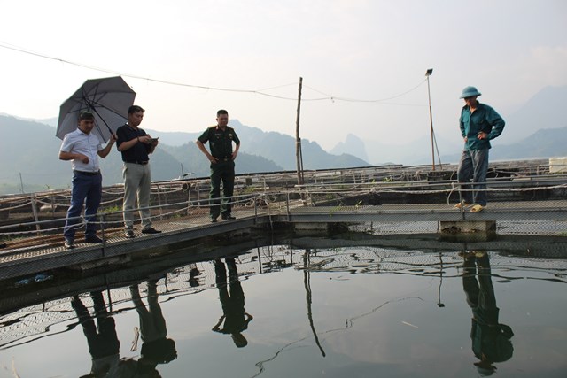 Trang trại nuôi cá tầm trên lòng hồ thủy điện Sơn La tại xã Mường Trai, huyện Mường La, tỉnh Sơn La. Ảnh: Phi Long