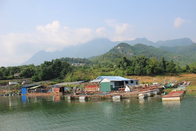 Nhiều hộ dân nuôi cá lồng đại trà như cá trăm, cá rô phi đơn tính, cá chép, cá lăng, cá diêu hồng trên lòng hồ đem lại hiệu quả kinh tế cao. Ảnh: Phi Long
