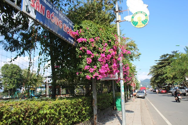 GREEN COFFEE : Kh&#244;ng gian xanh giữa l&#242;ng th&#224;nh phố H&#242;a B&#236;nh - Ảnh 2