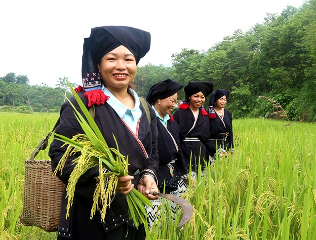 Ph&#250; Thọ: Chung tay g&#236;n giữ, ph&#225;t huy bản sắc văn h&#243;a của đồng b&#224;o c&#225;c d&#226;n tộc tại x&#227; Y&#234;n Lương - Ảnh 1