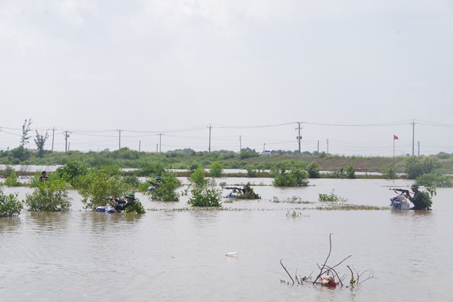 Bộ đội Bi&ecirc;n ph&ograve;ng Bạc Li&ecirc;u thường xuy&ecirc;n tổ chức luyện tập c&aacute;c phương &aacute;n, kế hoạch chiến đấu, đảm bảo sẵn s&agrave;ng xử l&yacute; hiệu quả c&aacute;c t&igrave;nh huống c&oacute; thể xảy ra.