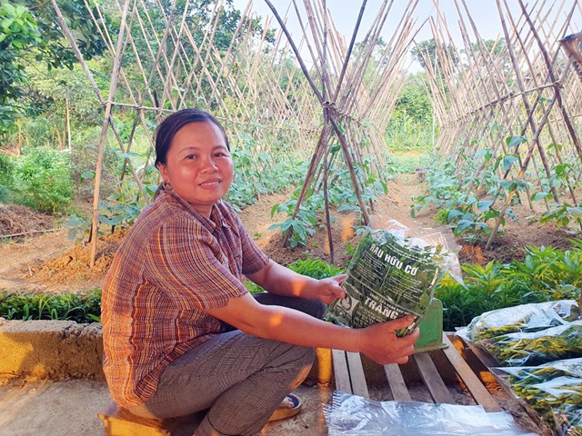 Chị Ho&agrave;ng B&iacute;ch Th&ugrave;y &ndash; Tổ trưởng Tổ hợp t&aacute;c rau hữu cơ x&oacute;m Gừa, x&atilde; Cư Y&ecirc;n chia sẻ với Ph&oacute;ng vi&ecirc;n về m&ocirc; h&igrave;nh sản xuất rau hữu cơ theo hướng ph&aacute;t triển n&ocirc;ng nghiệp bền vững của Tổ hợp t&aacute;c (ảnh PV).