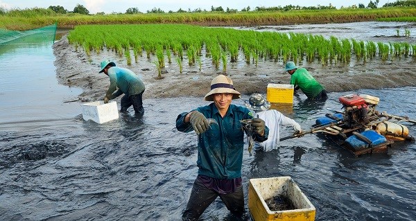 Tr&ecirc;n địa b&agrave;n tỉnh C&agrave; Mau,&nbsp;huyện Thới B&igrave;nh c&oacute; tổng diện t&iacute;ch nu&ocirc;i t&ocirc;m c&agrave;ng xanh l&ecirc;n tới gần 19.000 ha&nbsp;(ảnh CTT ĐT tỉnh C&agrave; Mau).