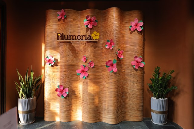 Plumeria Spa Biên Hòa: Dấu mốc mới trong hành trình chăm sóc sức khỏe chủ động - Ảnh 7