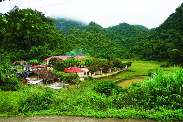 Qu&#234; mẹ, miền k&#253; ức - Ảnh 4