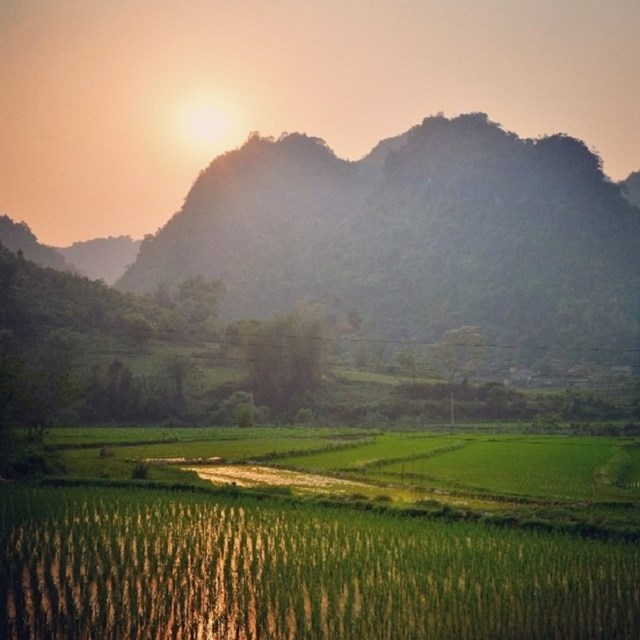 Qu&#234; mẹ, miền k&#253; ức - Ảnh 5