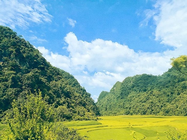 Qu&#234; mẹ, miền k&#253; ức - Ảnh 3