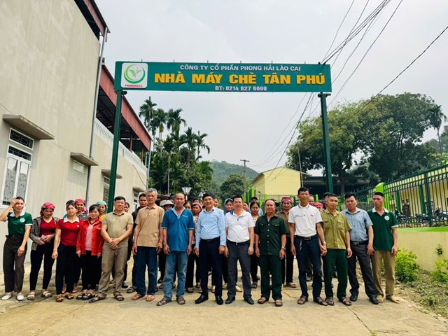 Nâng tầm chè Việt từ gốc: Tập huấn kỹ thuật tại Phong Hải mở lối phát triển bền vững - Ảnh 2