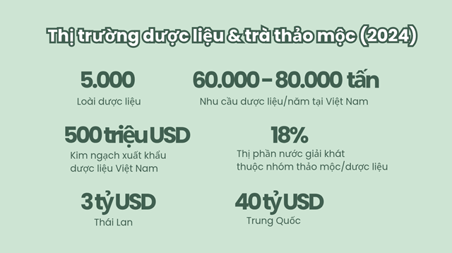 Thị trường dược liệu v&agrave; tr&agrave; thảo mộc năm 2024