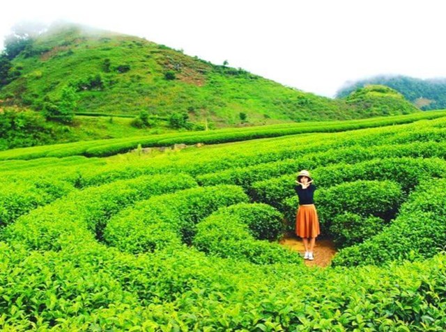 Kh&oacute;m ch&egrave; h&igrave;nh ảnh tr&aacute;i tim l&atilde;ng mạn được những c&ocirc;ng nh&acirc;n n&ocirc;ng trường tỉ mỉ chụm lại từng luống nhỏ tạo th&agrave;nh&nbsp;