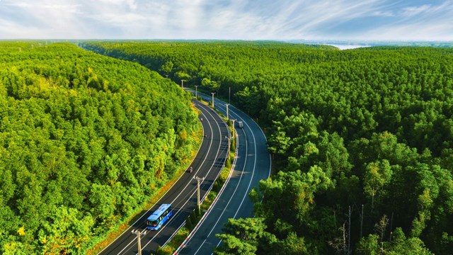 Hơn 5.000 vận động vi&ecirc;n sẽ kh&aacute;m ph&aacute; đường chạy xanh tại VinExpress Marathon Green Paradise Cần Giờ v&agrave;o 1/5/2026 &nbsp;