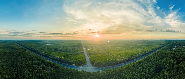 Cần Giờ lột xác thần tốc, đẹp mê hoặc trong ngày tranh tài VnExpress Marathon Green Paradise 2026 - Ảnh 4
