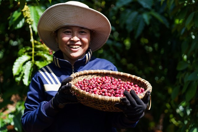 Người nông dân trồng cà phê tham gia vào chương trình NESCAFÉ Plan