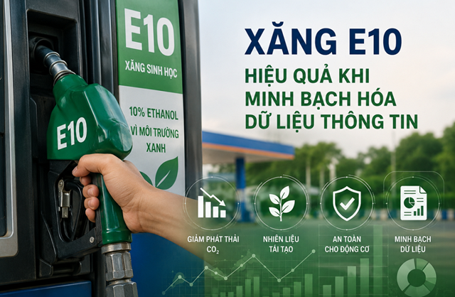 Người tiêu dùng đón nhận xăng sinh học E10 ra sao? - Ảnh 1
