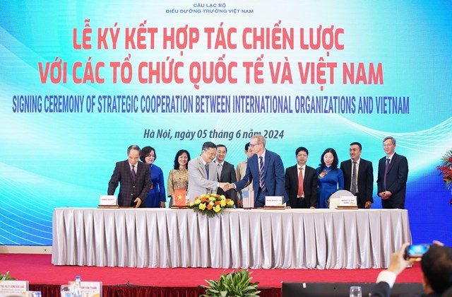 Vinamilk đồng h&#224;nh c&#249;ng Hội nghị khoa học Điều dưỡng Quốc tế lần thứ nhất  CLB Điều dưỡng trưởng Việt Nam  - Ảnh 6