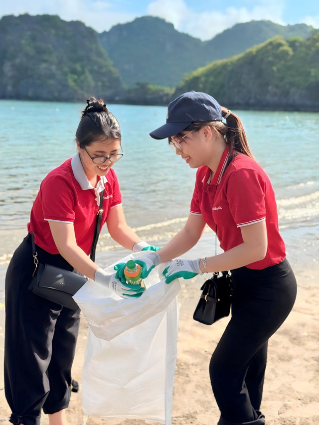 C&#225;n bộ nh&#226;n vi&#234;n SeABank chung tay l&#224;m sạch 11 b&#227;i biển v&#236; m&#244;i trường xanh - Ảnh 3