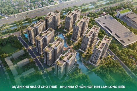 Th&ecirc;m lựa chọn an cư từ c&aacute;c dự &aacute;n nh&agrave; ở cho thu&ecirc; (Ảnh minh hoạ)