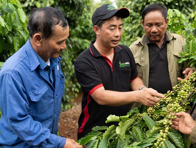 Cán bộ của Nestlé Việt Nam chia sẻ kỹ thuật canh tác cà phê bền vững với người nông dân tham gia dự án Nescafé Plan