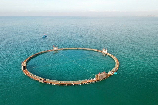 Dự &aacute;n nu&ocirc;i trồng thủy sản (hay c&ograve;n gọi l&agrave; Dự &aacute;n Mực nhảy C&ocirc; T&ocirc;) tại đặc khu C&ocirc; T&ocirc;, Quảng Ninh của C&ocirc;ng ty Cổ phần Mực nhảy Biển Đ&ocirc;ng. Ảnh:&nbsp;Mực nhảy Biển Đ&ocirc;ng.
