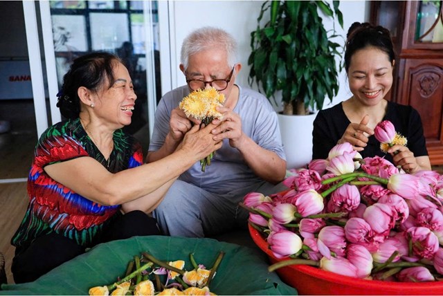 Kh&ocirc;ng phải bất kỳ b&ocirc;ng sen n&agrave;o cũng c&oacute; thể d&ugrave;ng để ướp tr&agrave;, b&iacute; quyết tinh hoa của nghề nằm ở những &ldquo;hạt gạo sen&rdquo;, chứa trọn hương thơm thuần khiết của lo&agrave;i hoa.