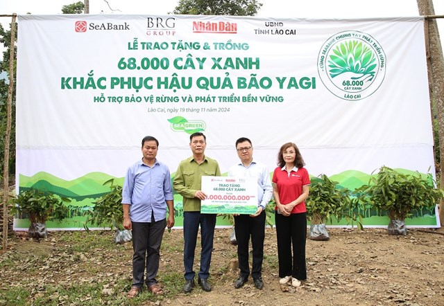 SeABank v&#224; Tập đo&#224;n BRG chung tay trồng 68.000 c&#226;y phủ xanh gần 20ha rừng tại L&#224;o Cai - Ảnh 1