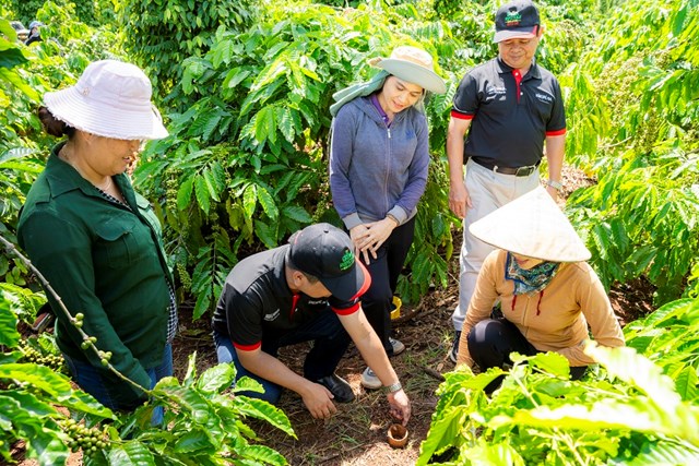 Cán bộ hỗ trợ nông nghiệp của Nestlé Việt Nam hướng dẫn nông dân trồng cà phê thực hành canh tác nông nghiệp tái sinh