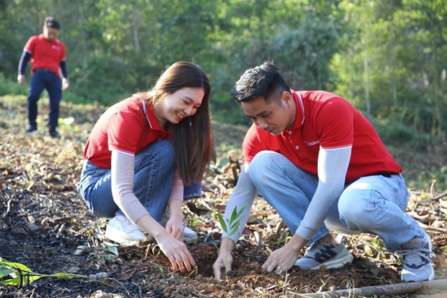 SeABank tiếp tục phủ xanh 3ha rừng ph&#242;ng hộ tại Thanh H&#243;a, hướng tới ph&#225;t triển bền vững - Ảnh 1