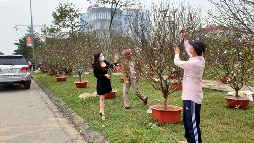 Anh Đồng - Người b&aacute;n đ&agrave;o l&acirc;u năm cho biết, đ&agrave;o năm nay đẹp hơn, đa dạng hơn nhưng người mua vẫn chưa nhiều.