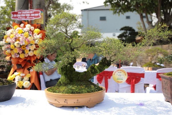 Tác phẩm ra khơi (kim sa trường) của tác giả Nguyễn Tiến Hà.