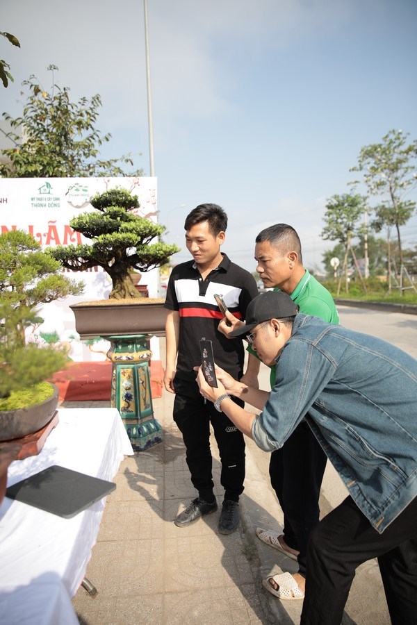 H&#224; Tĩnh: Ngắm d&#224;n c&#226;y cảnh, bonsai với d&#225;ng thế độc đ&#225;o ch&#224;o Xu&#226;n 2024 - Ảnh 1