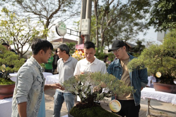 Hơn 50 tác phẩm bonsai, cây cảnh nghệ thuật được các nghệ nhân, nhà vườn lựa chọn đem đến tham dự.