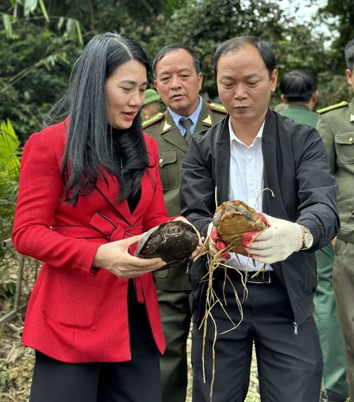  Lãnh đạo huyện Vũ Quang cùng dự tái thả cá thể động vật hoang dã về tự nhiên.