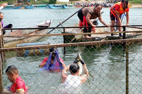 Những chàng trai làng lặn bắt cá trắm sông Son ở miền Di sản Thiên nhiên thế giới.