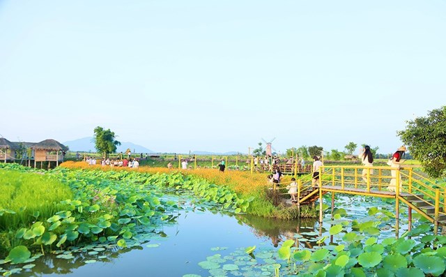 M&ocirc; h&igrave;nh trồng sản xuất l&uacute;a hữu cơ, c&aacute;c đường hoa, c&acirc;y cảnh, hồ sen được du kh&aacute;ch t&igrave;m đến để check in