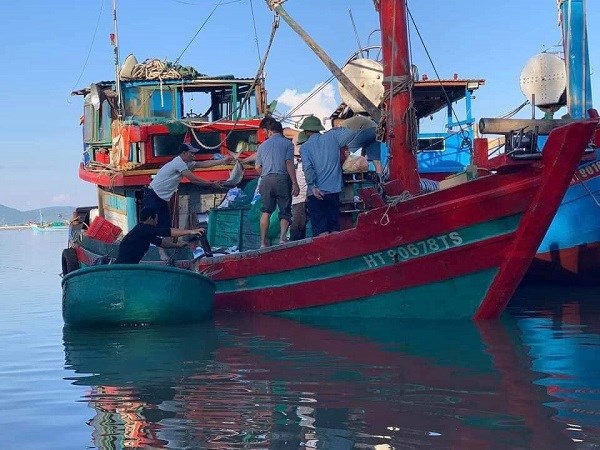 Tàu ông Lê Văn Tĩnh (xã Kỳ Ninh, thị xã Kỳ Anh) may mắn đánh được mẻ cá vảy vàng lớn khoảng 3 tấn.