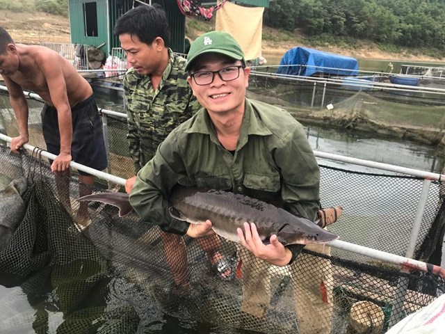  Mô hình nuôi cá tầm trên hồ Ngàn Trươi đã tạo công ăn việc làm cho người dân địa phương và mang lại hiệu quả kinh tế cao.