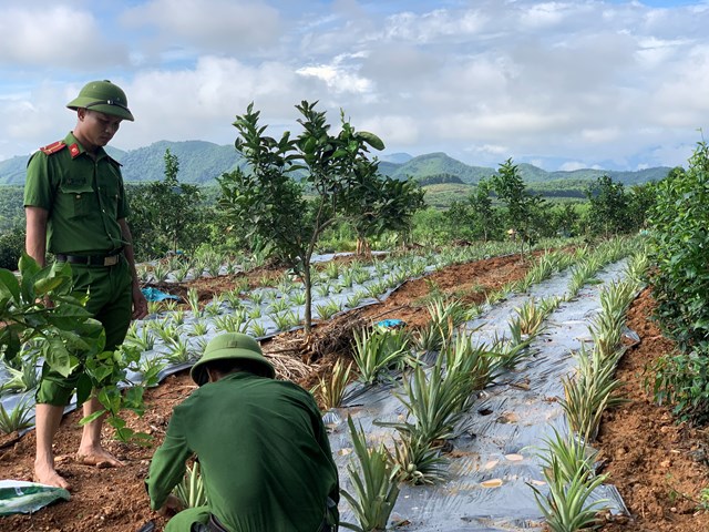 Đo&agrave;n thanh ni&ecirc;n C&ocirc;ng an huyện Vũ Quang đ&atilde; huy động c&aacute;n bộ, chiến sĩ gi&uacute;p đỡ b&agrave; con địa phương.