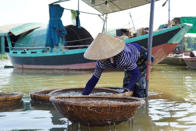 Hến luộc xong được mang ra s&ocirc;ng La để đ&atilde;i