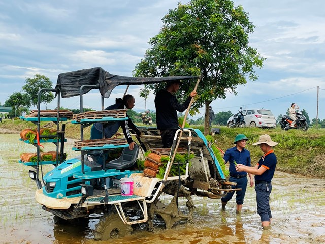 thay bằng cấy thủ c&ocirc;ng th&igrave; l&uacute;a ở đ&acirc;y được cấy bằng m&aacute;y cấy của Nhật Bản để đảm bảo khoảng c&aacute;ch