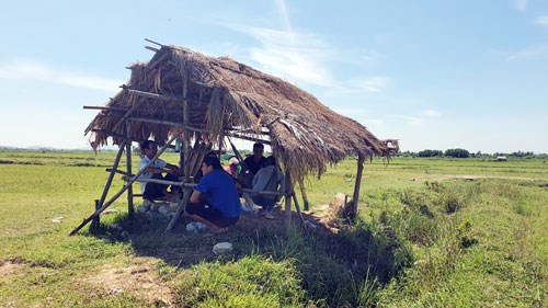 T&uacute;p lều bằng tranh được người d&acirc;n trong l&agrave;ng dựng l&ecirc;n l&agrave;m chỗ nghỉ ngời cho những người đi thăm tr&acirc;u.