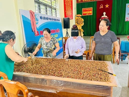 Người d&acirc;n tự tay chế biến, đ&oacute;ng g&oacute;i h&agrave;ng trăm k&yacute; c&aacute;, t&eacute;p, ruốc, mực rim, muối đậu...