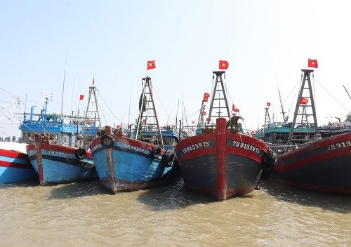 TP Sầm Sơn sẽ tăng cường công tác tuyên truyền, giáo dục cho ngư dân, cán bộ quản lý và các tổ chức cá nhân liên quan đến hoạt động thủy sản.