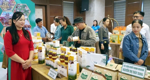 Lễ hội lần này có sự tham gia khoảng 100 gian hàng nhằm quảng bá các sản phẩm nông nghiệp ở Hà Tĩnh.