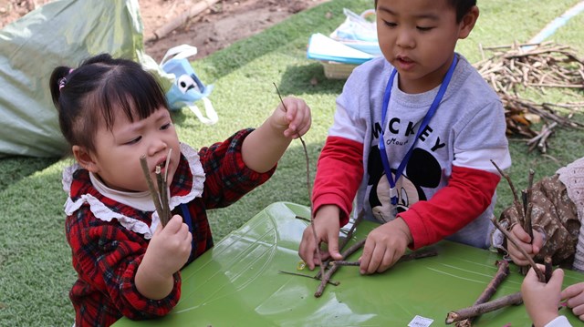 Vườn Thực vật – “Kho báu xanh” giữa lòng Thủ đô - Ảnh 3