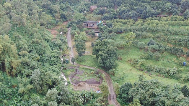 Rừng ph&ograve;ng hộ x&atilde; Xu&acirc;n Mai, H&agrave; Nội