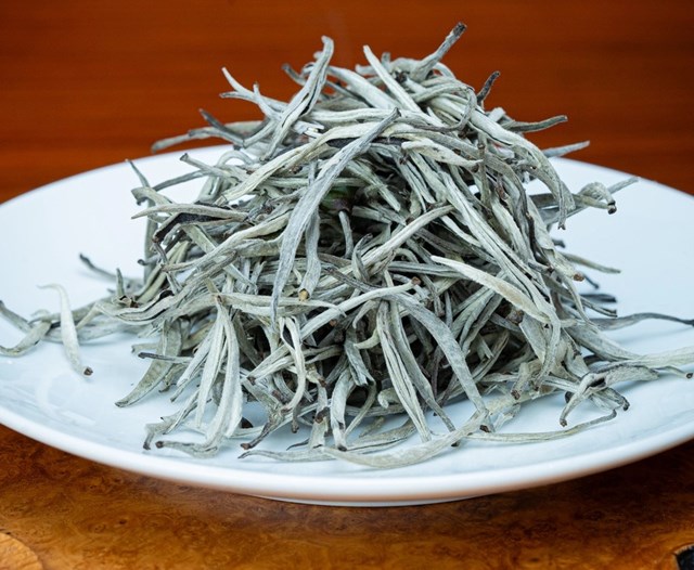 Bạch Tr&agrave; Shan tuyết cổ thụ vụ xu&acirc;n ủ một năm&nbsp;