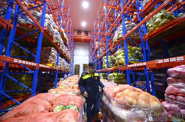 Logistics trở thành đòn bẩy mới cho tăng trưởng xuất khẩu nông sản - Ảnh 3