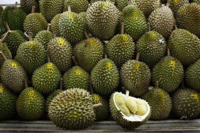 TP.HCM siết mã số vùng trồng, củng cố “hộ chiếu” cho nông sản xuất khẩu - Ảnh 1